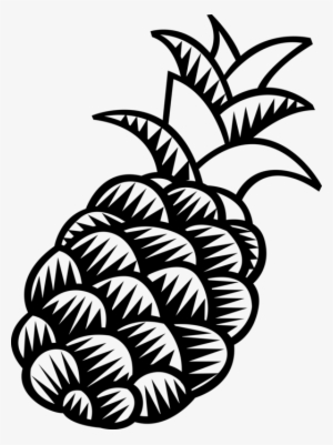 Vector Illustration Of Tropical Plant Pineapple Fruit - Illustration