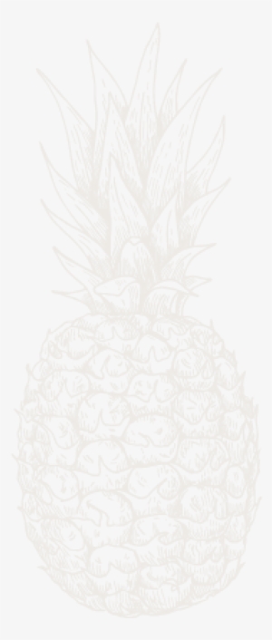 Pineapple Negative - Pineapple