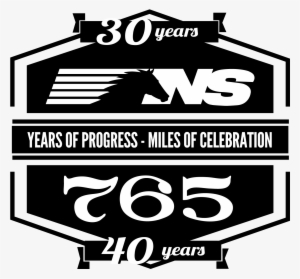 Download The Schedule - Norfolk Southern Heritage: In Color [book]