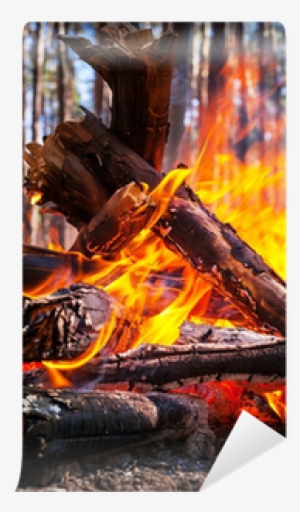 Flame