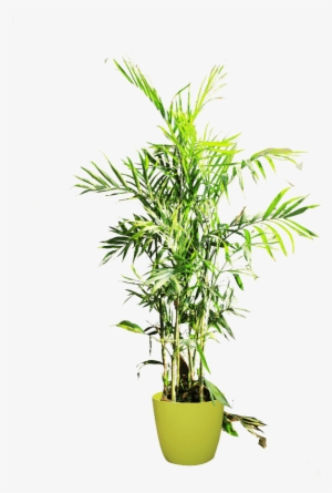 If You Like This Template And Want To Use Them, Please - Houseplant