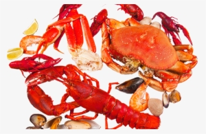 Food Additive Chitin