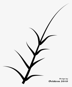 Black And White Plant - Graphics