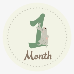 Baby Belly Png Pluspng - Label
