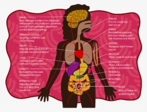 Aboriginal Female Body Featuring Individual Body Parts - Poster