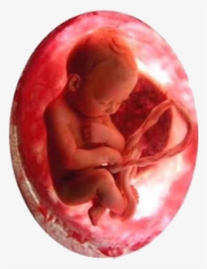 Imagens De Bebe Para Picsart