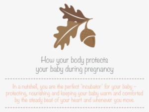 During Pregnancy, Your Baby Needs Protection From Germs, - White Oak
