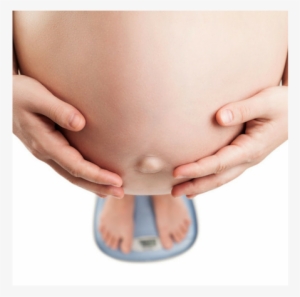 All Stages Of Pregnancy - Pregnant Weight