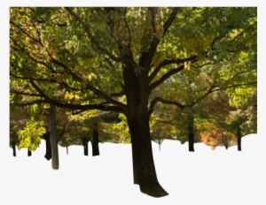 Thought We Might Go Out Friday After I Returnokay With - Costantino Funeral Home