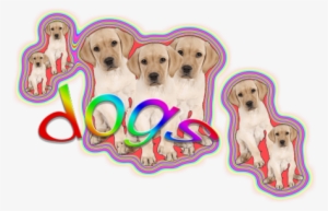 Myblings - Aesthetic Dog Png