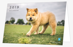 Thrive Affordable Vet Care 2019 Desktop Calendar Promotion - Thrive Affordable Vet Care