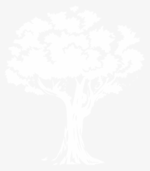 Medium - Illustration