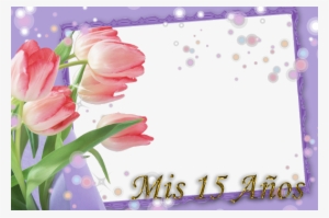 Marcos Mis 15 Años - Marcos Para Quinceañeras Png