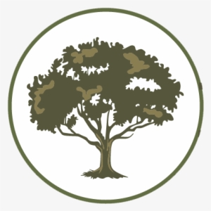 The Advantages Of Tree Care And Maintenance - Colossians 2 7