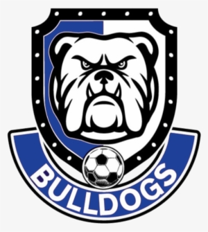 Bulldog - Bull Dog Faces Drawing