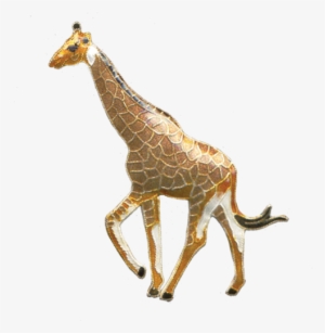 Pin Giraffe Enamel - Cloisonné