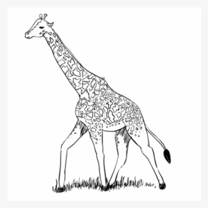 How To Draw A Giraffe Sketchbook Challenge - Drawing