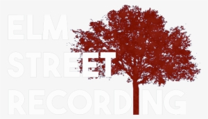 Since 2004 Elm Street Recording Has Provided The Lansing - Maple