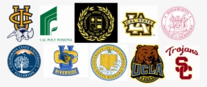 Picture - California State University Fullerton Sticker / Decal