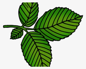 Original - Clip Art