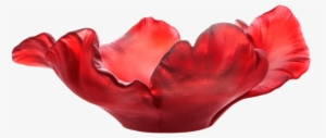 Red Tulip Bowl