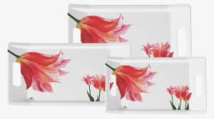 3 Pc Trendy Tray Set - Lily