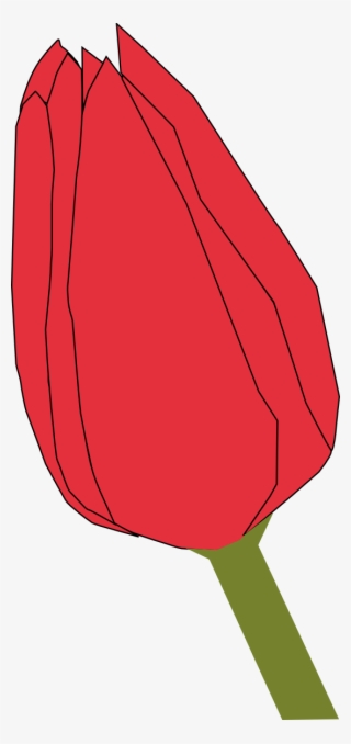 Red Tulip Bud - Closed Flower Clipart