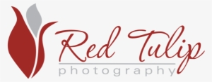 Red Tulip Photography - Tapestry Of Truth Philippians 4 Wall And Home Scripture