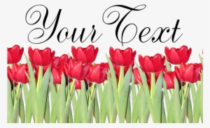 Personalizable Red Tulips Neck Tie - Personalizable Red Tulips Pillow Case