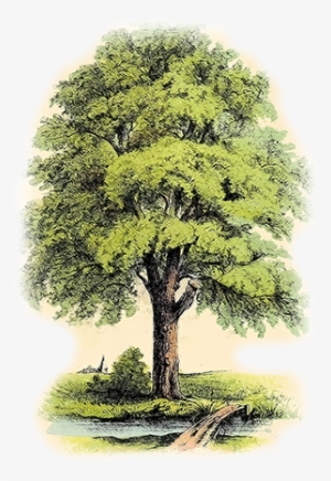 Don T Know What You Got Till It's Gone Poems