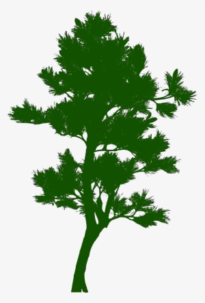 This Free Icons Png Design Of Silhouette Arbre 06
