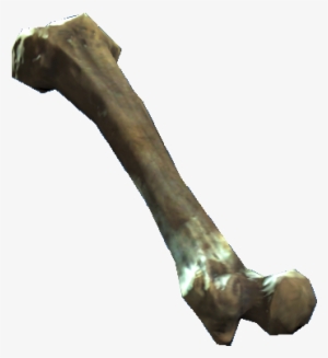 Femur - Femur Png