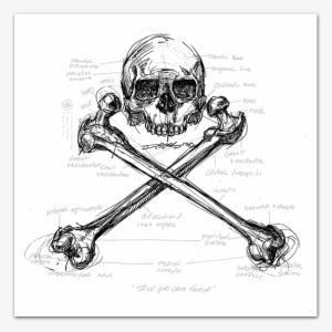 Skull & Femur Mens Tee Skull & Femur Mens Tee - Art