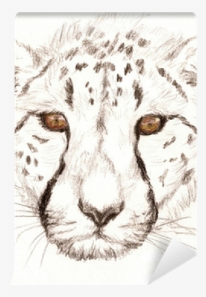 Colored Pencil Sketch Of A Cheetah Wall Mural • Pixers® - Leoparder Som Man Kan Rita