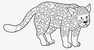 Simple Cheetah Face Coloring Pages Cheetah Face Coloring - Jaguar Jpg Coloring Book