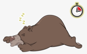 De Acordo Com O Texto Ao Lado, Quantas Horas Os Ursos - Drawing