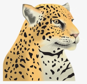 Juniper Elementary School