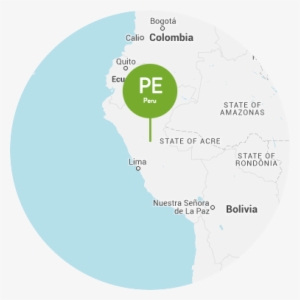 Page's Work In Peru - Rose Hip Seed Oil