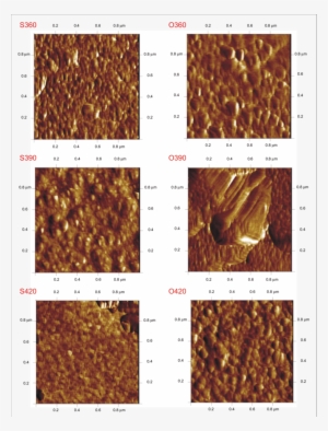 Afm Images Of Czts Samples Deposited At Substrate Temperatures - Vector Time