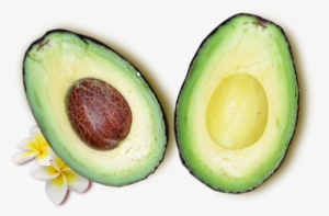 Anterior Siguiente - Agroexport Llc