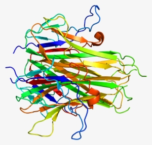 Protein Tnfsf15 Pdb 2o0o - Restaurant