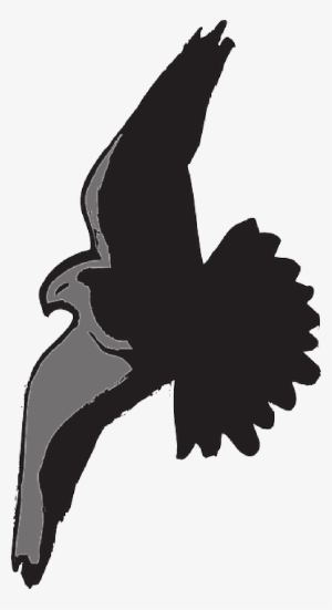 Mb Image/png - Sombra Do Passaro