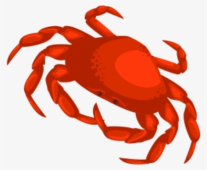 Drawn Crab Transparent - Crab Vector Png