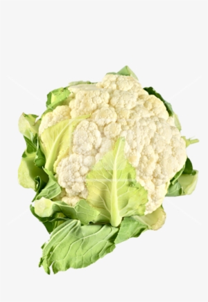 Cauliflower Png - Cauliflower Transparent Background