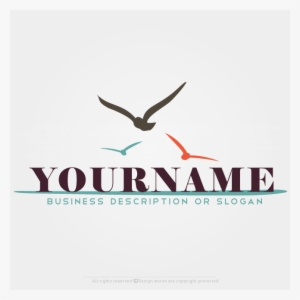 Free Logo Maker - Black Skimmer