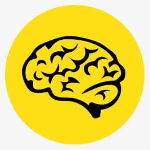 Cocaine And Mental Health - Dr. Sedat İrgil