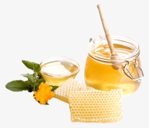 Mini Wood Honey Dipper Sticks 3 Inch Individually Wrapped