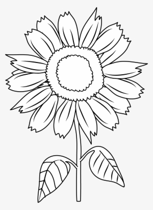 Clip Art Library Download Sunflower Black And White - Clip Art