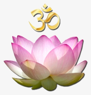 Om Lotus - Lotus