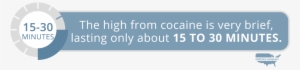 Com The Dangers Of Snorting Cocaine The High Lasts - Insufflation